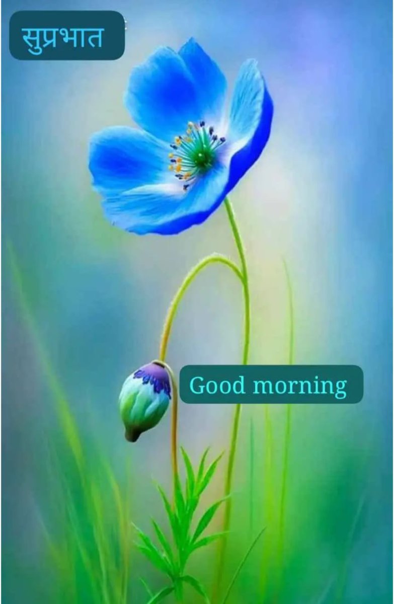 <a href="/NKhutoryan/">Natalia Khutoryan</a>