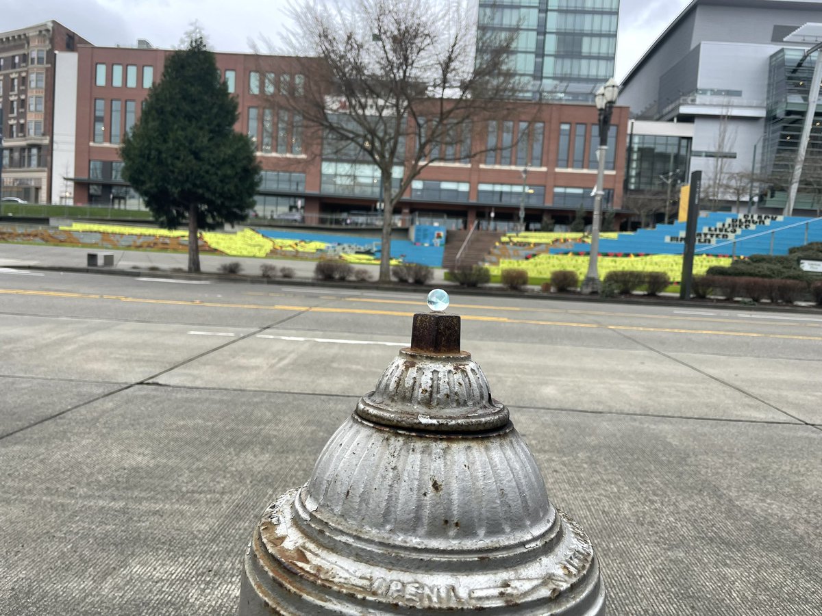 rockhunter5506's tweet photo. Come, find me #monkeyshines2024  #monkeyshines https://t.co/cJO8R85Unz