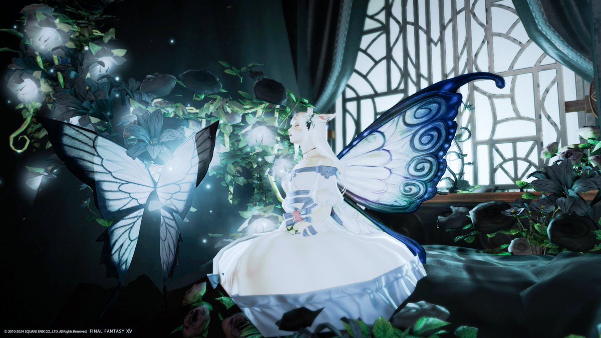 neko_kintoki's tweet photo. 🦋.*˚
𖥧⌂* #TktkHousing https://t.co/4M7iwt1g5v