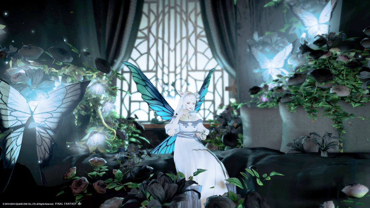 neko_kintoki's tweet photo. 🦋.*˚
𖥧⌂* #TktkHousing https://t.co/4M7iwt1g5v