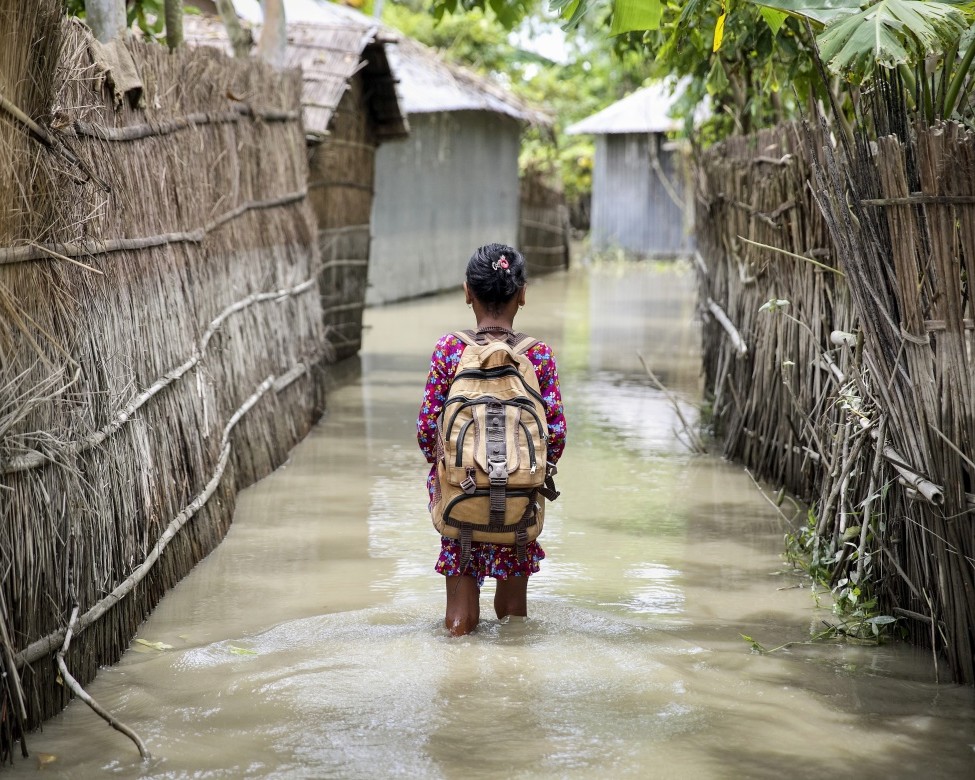 GPforEducation's tweet photo. A quality, climate-smart education promotes more sustainable ecosystem practices develops the skills we need for a green society 🌱

Learn how: https://t.co/cptzvYVQ7T

#ClimateSmartEd https://t.co/QqYNtH84m1