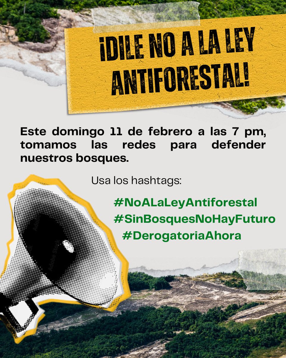 jpccperu's tweet photo. ¡Hoy el Perú le dice #NoALaLeyAntiforestal! Únete a nuestro tuitazo a las 7 pm con los hashtags #NoALaLeyAntiforestal #SinBosquesNoHayFuturo y #DerogatoriaAhora ✊🔥 https://t.co/mKFupDq0Df