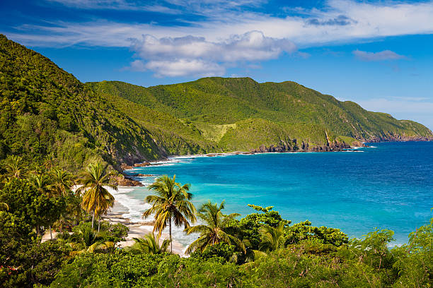 Lost in #paradise 🌴✨ Capturing the breathtaking beauty of #CarambolaBeach, where turquoise waters meet golden sands. Feeling blessed to witness this panoramic view in #StCroix, #USVirginIslands. Time to soak up the sun and create unforgettable memories! ☀️🌊 #IslandVibes"