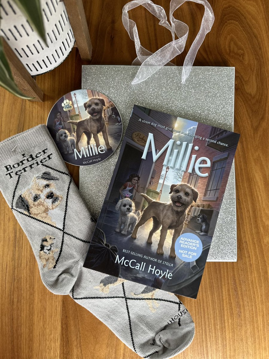 📖🐕 ARC Giveaway 🐕📖 border terrier socks &amp; laptop sticker! I’d 🩷 to help my last few MILLIE ARCs find a good home before release day on 3/5/24. If you 🩷 STELLA, I think you’ll 🩷 little Millie! Follow, comment, &amp; share  before midnight 2/14 for chance to win! #GiveawayAlert