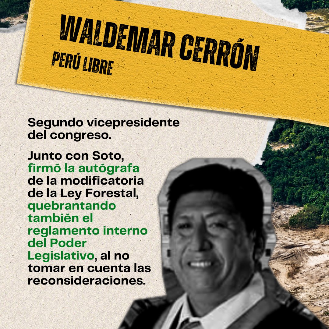 jpccperu's tweet photo. ¿Quiénes están detrás de la modificación de la Ley Forestal? Que este congreso ecocida no quede impune. ¡Por la justicia de nuestros bosques, decimos #NoALaLeyAntiforestal!
@elcomercio_peru
@ojo_publico
@larepublica_pe 
@BancadaAPP
@bancada_PL https://t.co/btLsdfrUJT