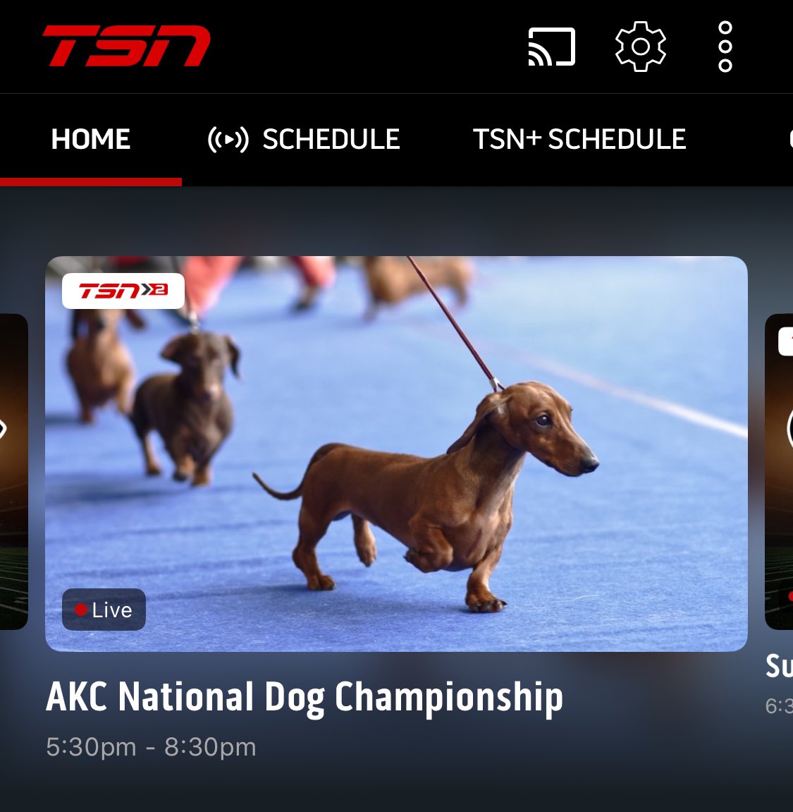 RILEY JABOUR!!! tweet media