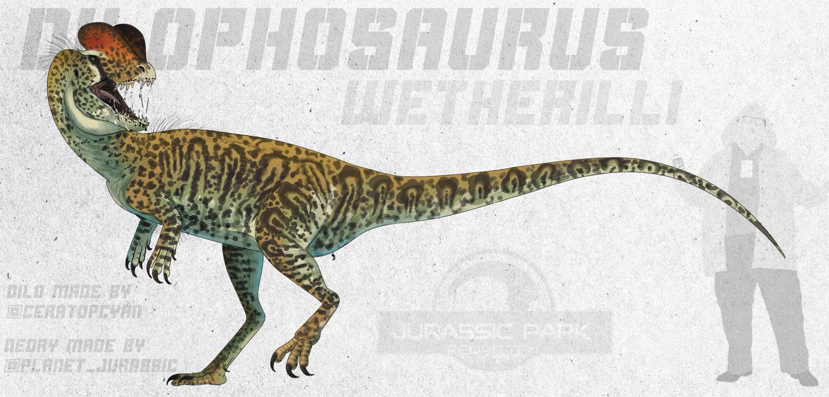 JParkRewritten's tweet photo. Second redesign ready! One of our most praised and liked creations has been completely redone to match Deinonychus' style! To produce it's venom, Dilophosaurus drools a lot before landing a devastating bite.
Regular version in comments
.
.
#JurassicPark #paleoart https://t.co/F06VfoKkGP
