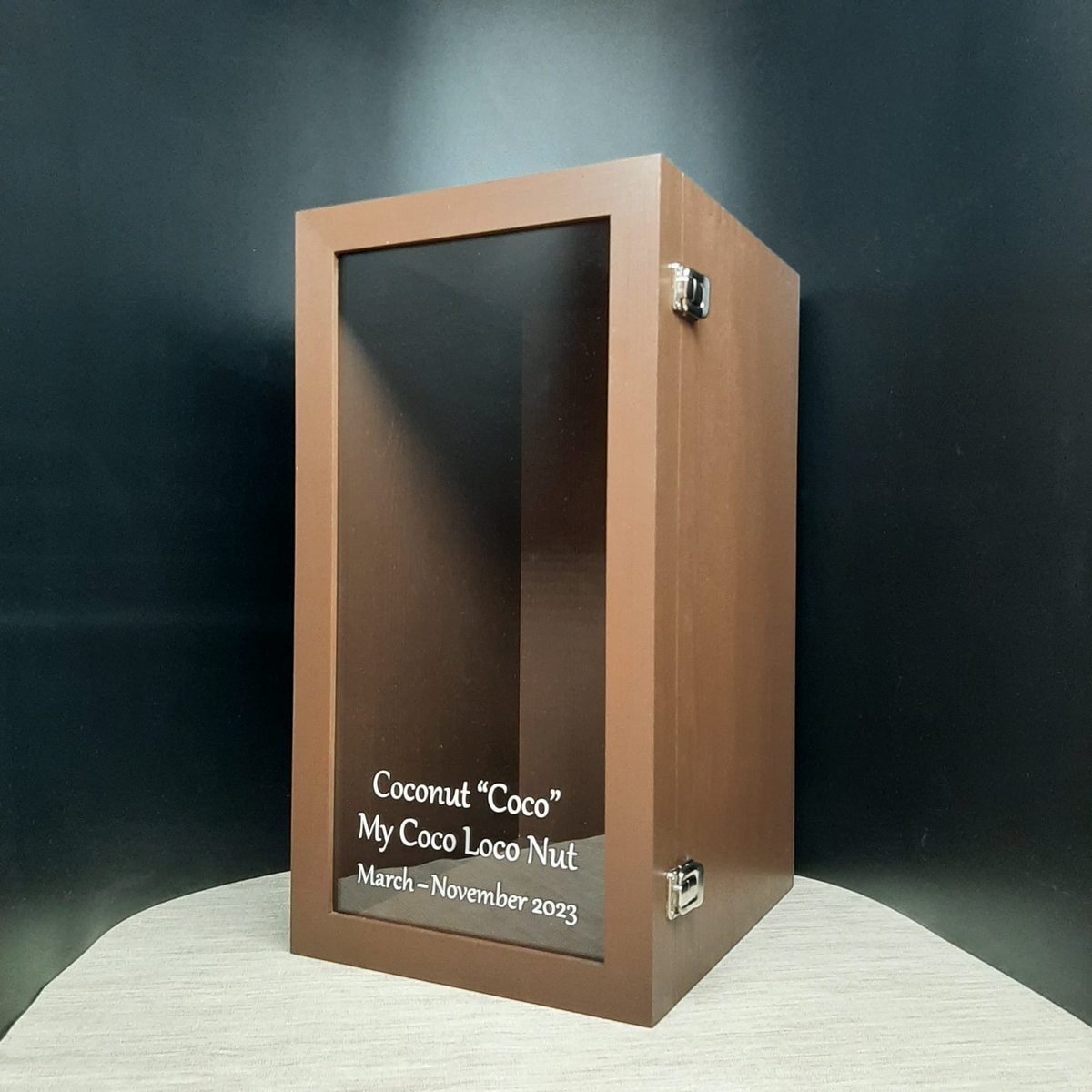 design_seagull's tweet image. Custom Beloved Pet Shadow Box: Preserving Memories with Love

#displaycase #memory #pets