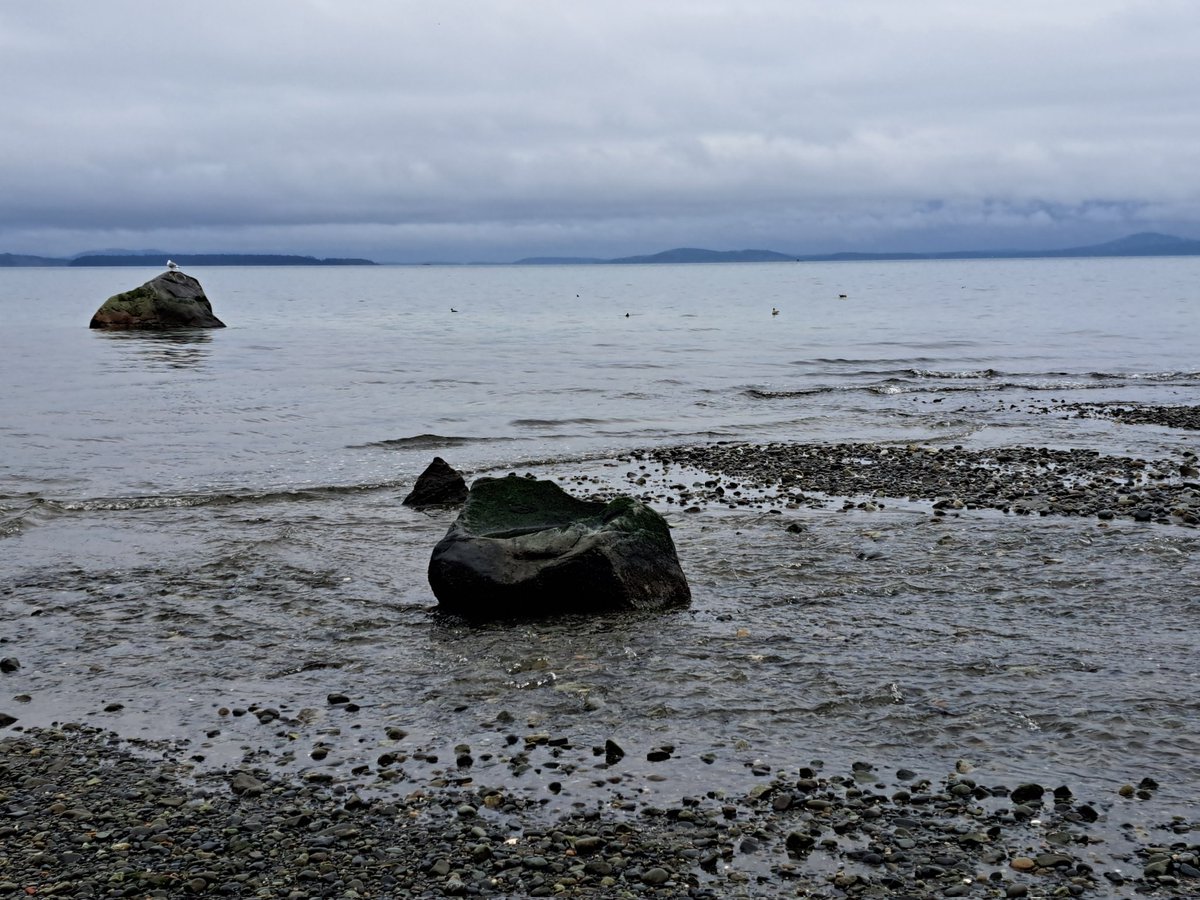 Viktoria is in Victoria🇨🇦 Thanks @LeitchLab and @mcindoe for taking me on a refreshing morning hike. Looking forward to my visit at @uvic tomorrow.