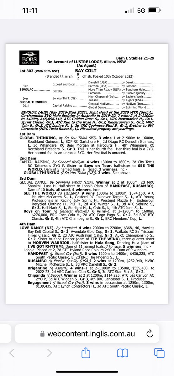 Rohan Hughes (@rohanjhughes) on Twitter photo Like Father like Son! Bought this smashing Colt Lot 303 <a href="/inglis_sales/">Inglis</a> by the Superstar racehorse and multiple Group 1 winner BIVOUAC out of a Stakes winning mare by a Champion Stallion from a huge Black Type family. Great package!! Get on board!! <a href="/Grahame_Begg/">Grahame Begg Racing</a> <a href="/CFHylandRacing/">Chris Hyland</a> Like Father like Son! Bought this smashing Colt Lot 303 <a href="/inglis_sales/">Inglis</a> by the Superstar racehorse and multiple Group 1 winner BIVOUAC out of a Stakes winning mare by a Champion Stallion from a huge Black Type family. Great package!! Get on board!! <a href="/Grahame_Begg/">Grahame Begg Racing</a> <a href="/CFHylandRacing/">Chris Hyland</a>
