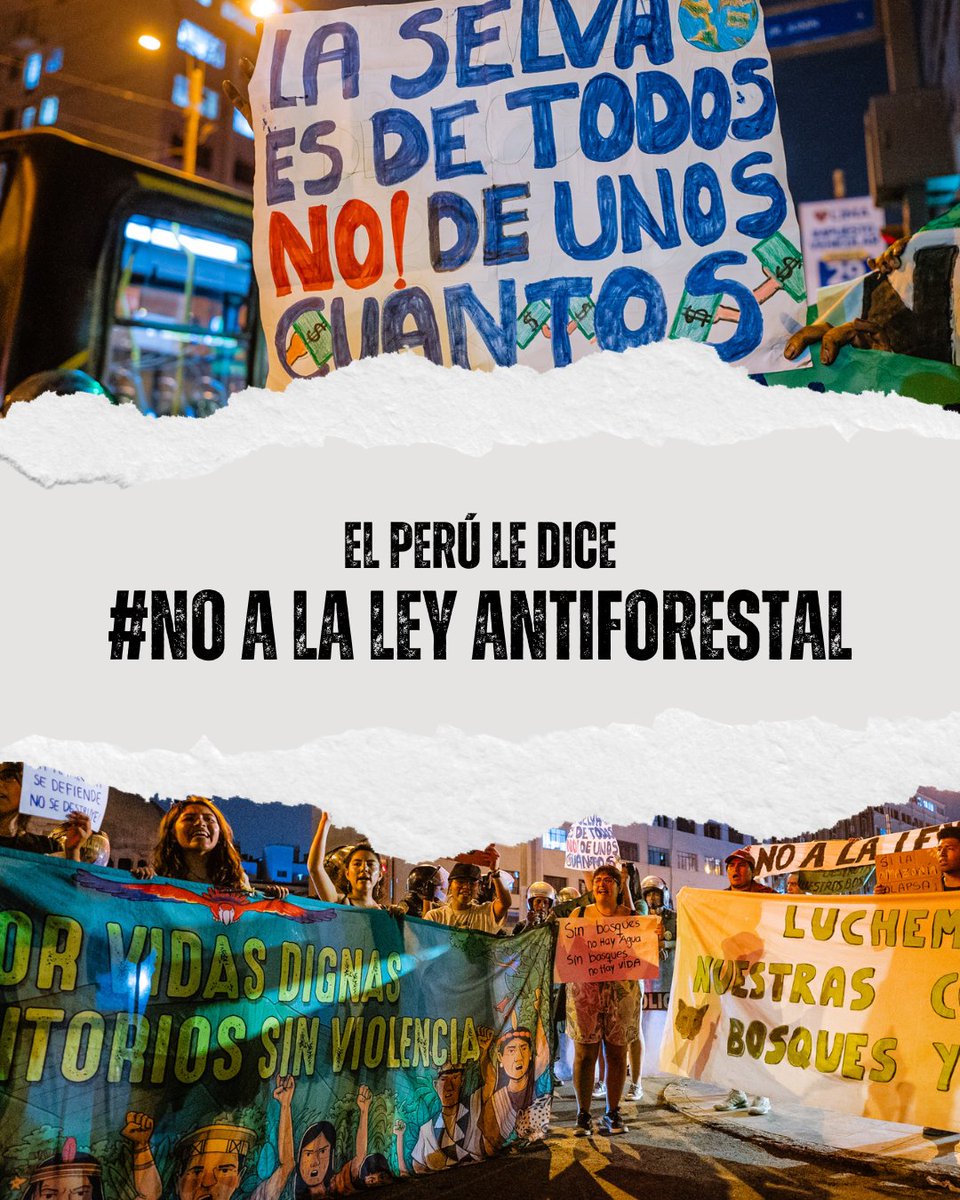 jurrunaga's tweet image. El @congresoperu publicó ilegalmente #LeyAntiforestal para legalizar la #DeforestacionIlegal de mafias y economías ilegales que financian la #corrupcion y el #CrimenOrganizado que está tomando el control del #Peru
#DerogatoriaAhora  #SinBosquesNohayFuturo
@usembassyperu
@UeEnPeru