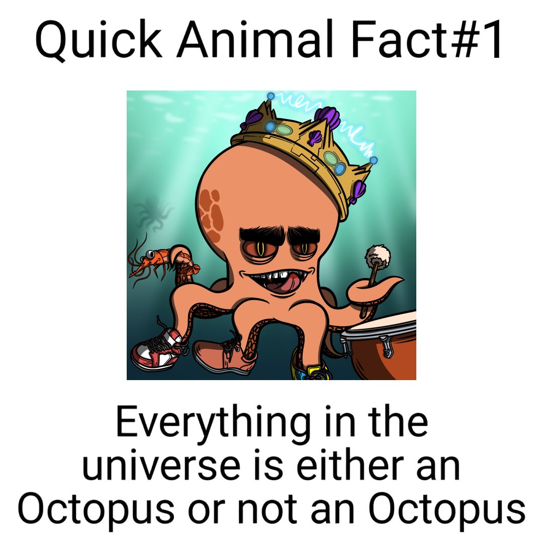 We are Octo 🔱🐙

Are you already Octo too? 👀