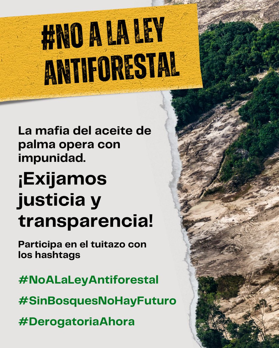 Jóvenes Peruanos frente al Cambio Climático tweet media