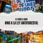 Photo by Jóvenes Peruanos frente al Cambio Climático (@jpccperu)