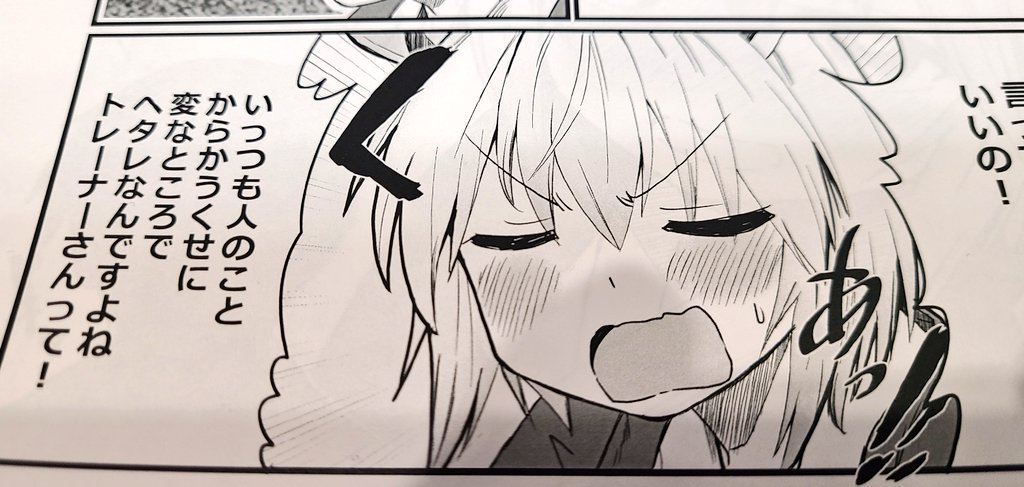 プリステ新刊コピ本「セイちゃん温泉プラスワン」は、冬コミで出した「セイちゃんは温泉で甘えたいが実はそんなチャンスはない」のオチ部分に加筆した後日談?的な内容です。前作を先に読んでね

B5/12p/100円で頒布予定です
#プリステ34R 
