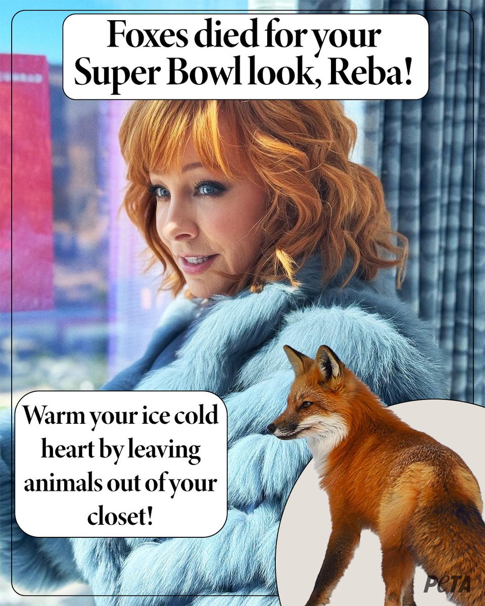 PETA tweet media