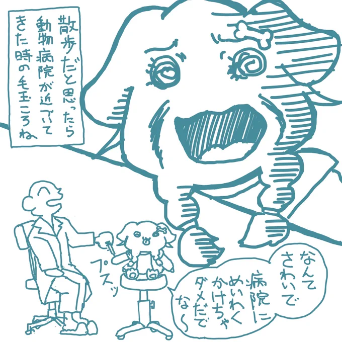 なぜか病院関係者に優しいイッヌ 