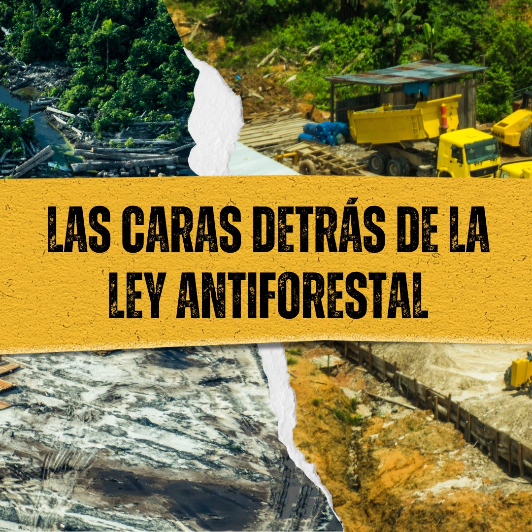 keneamazon's tweet image. #NoALaLeyAntiforestal #DerogatoriaAhora #SinBosquesNoHayFuturo
@presidenciaperu @congresoperu @FiscaliaPeru @Defensoria_Peru @MinamPeru @midagriperu @cdpueblos @cparedesr @laencerronaperu @Ojo_Publico @ocram @ensustrece @larepublica_pe @elcomercio_peru @canalN_ @rmapalacios