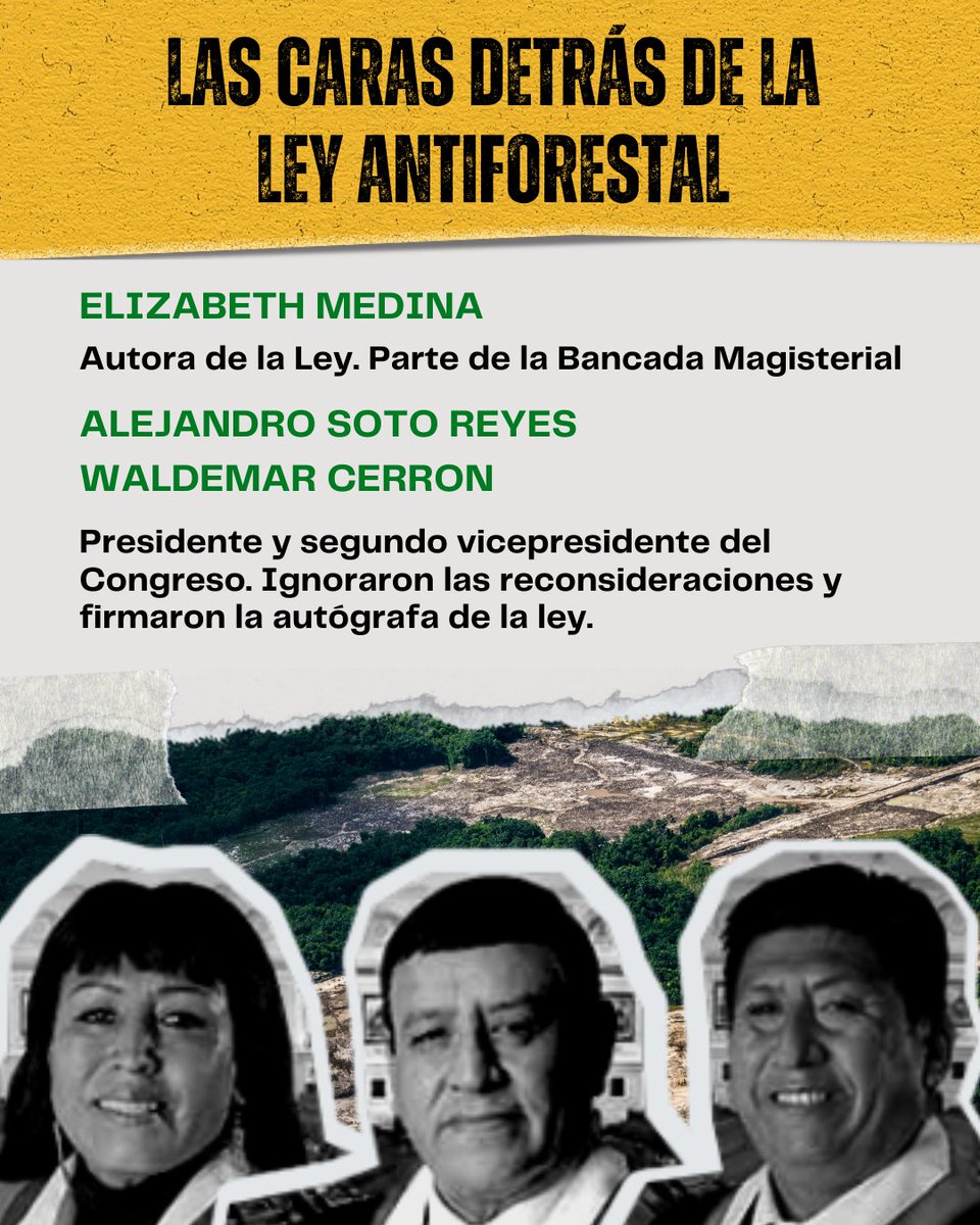 keneamazon's tweet image. #NoALaLeyAntiforestal #DerogatoriaAhora #SinBosquesNoHayFuturo
@presidenciaperu @congresoperu @FiscaliaPeru @Defensoria_Peru @MinamPeru @midagriperu @cdpueblos @cparedesr @laencerronaperu @Ojo_Publico @ocram @ensustrece @larepublica_pe @elcomercio_peru @canalN_ @rmapalacios