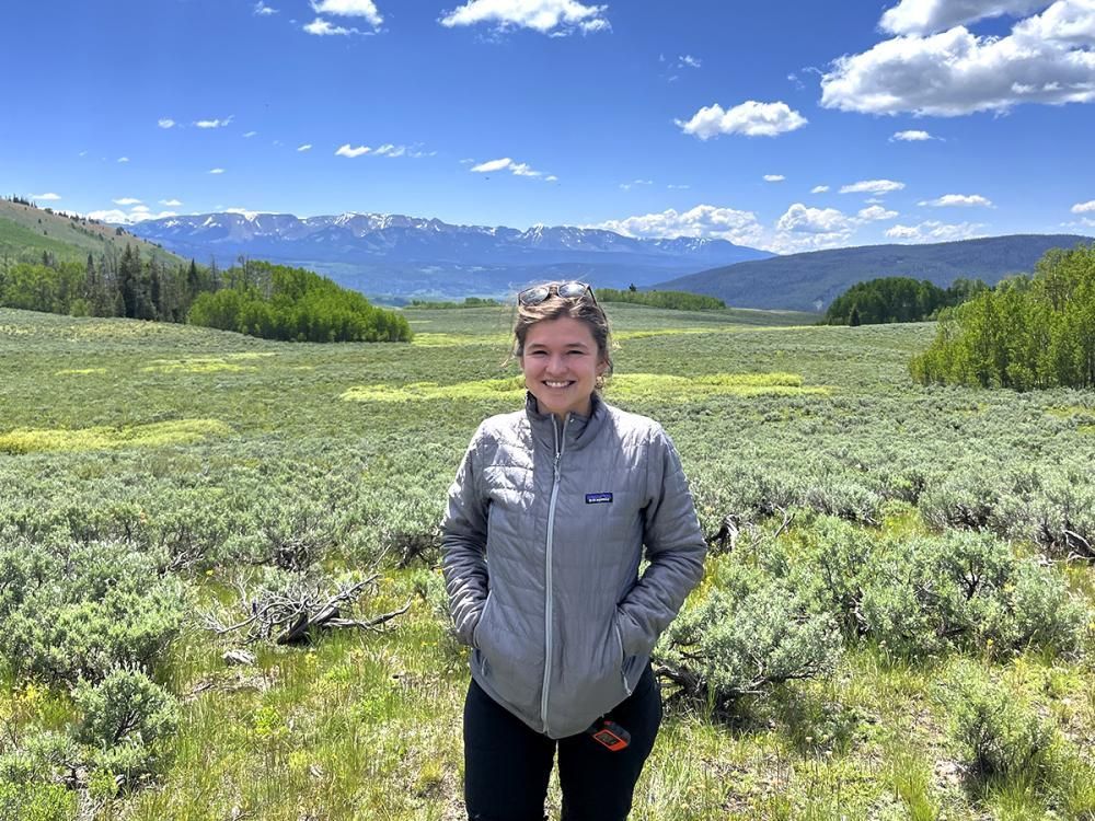 College of EMS tweet media