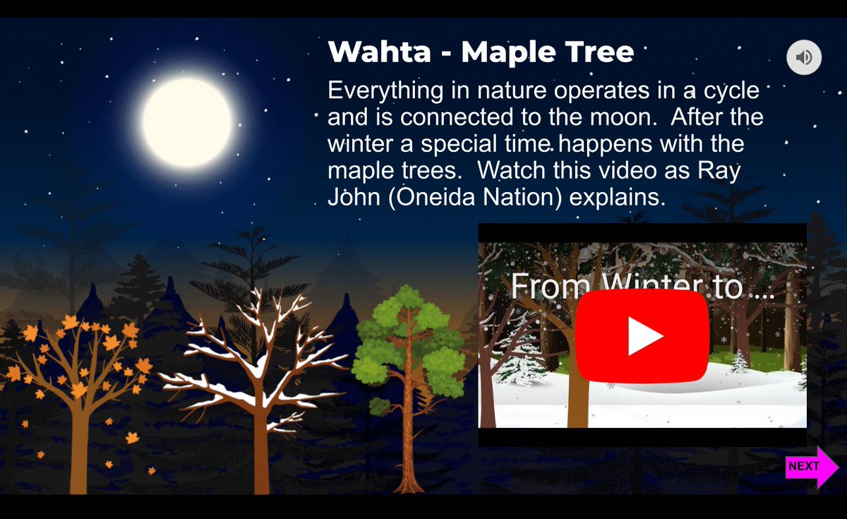 jodiesgot5's tweet photo. New resource on the upcoming season of when the sweet water begins to run &amp; it’s time to tap the maple trees. Created in collab with @RayJohn58968026 
To access: https://t.co/qpCJM6W0cJ https://t.co/OSWOfUfp6n