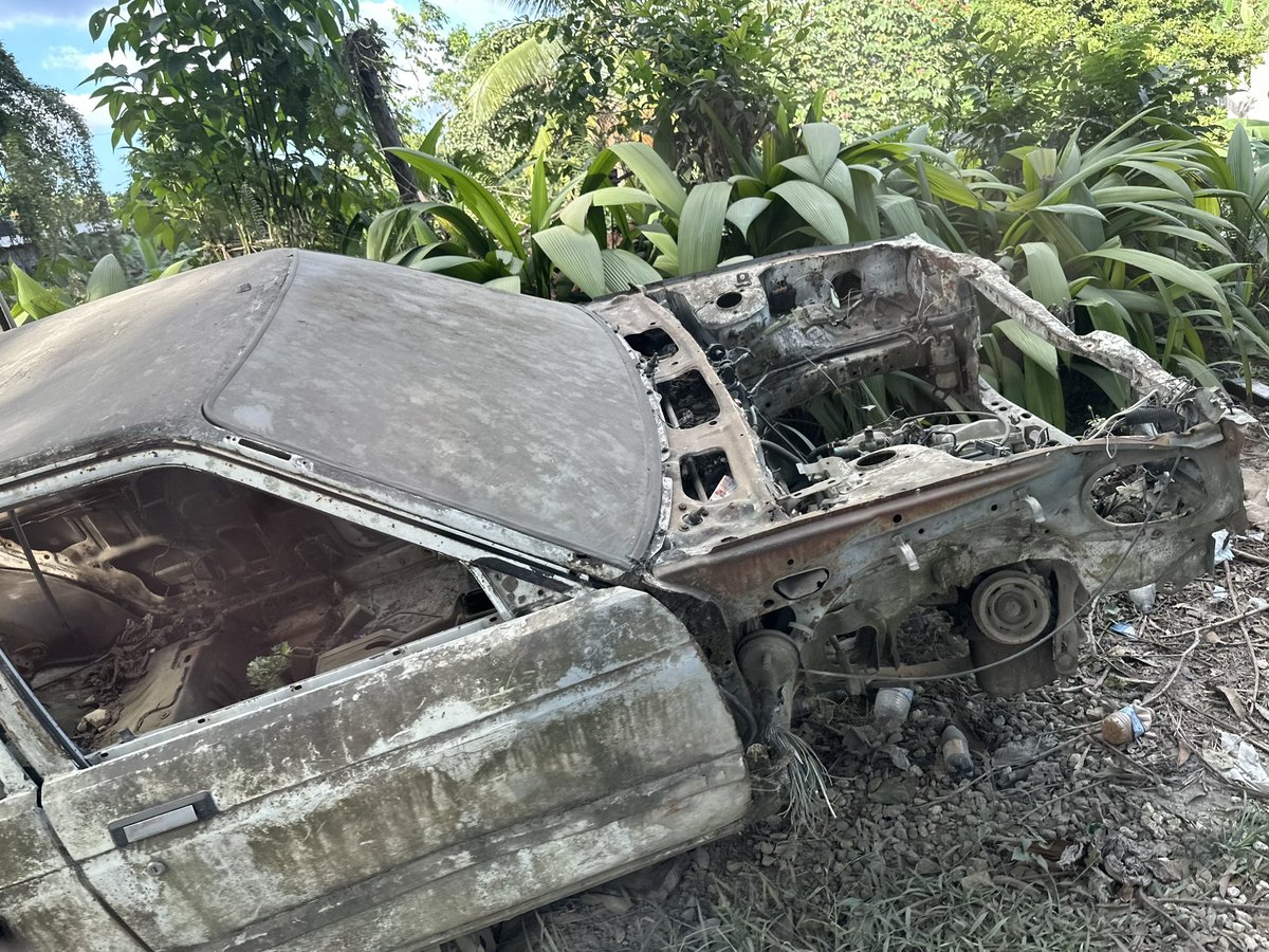 Matthias Hauer 🇩🇪🇪🇺 tweet media