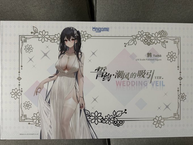 大鳳 誓約·潮風のテンプテーションVer.  大陸限定仕様箱の2体セット
来ちゃった、、、 