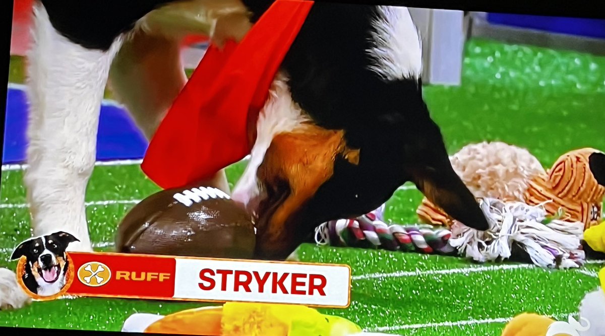 I knew I’d make it on TV for at least one Super Bowl #PuppyBowl