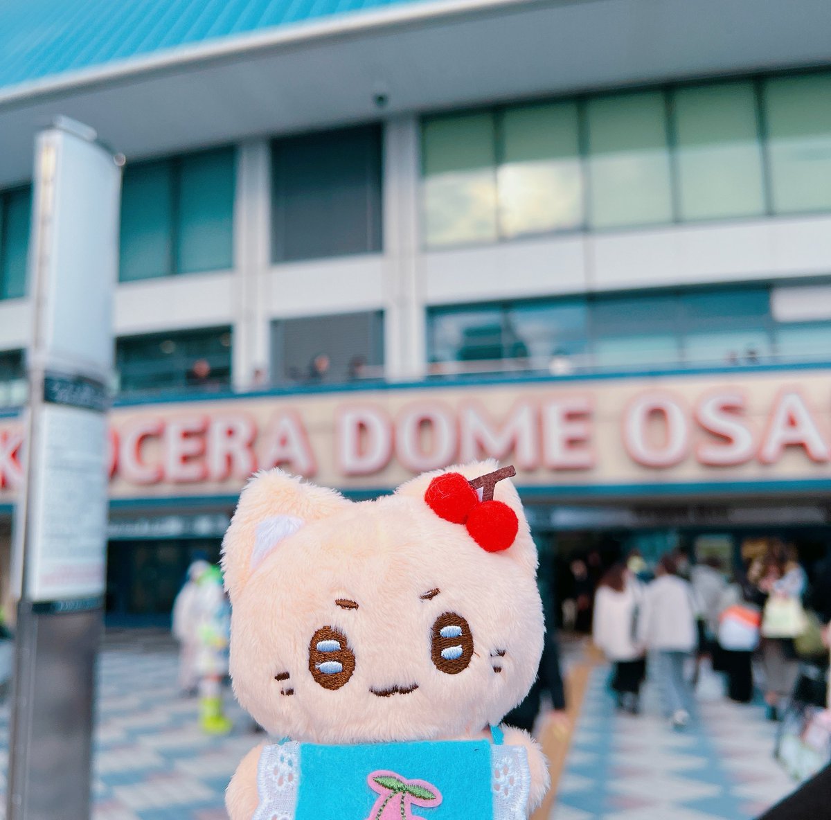 なんかずっとバタバタしてたがとりあえず京セラ行ってきた🍒