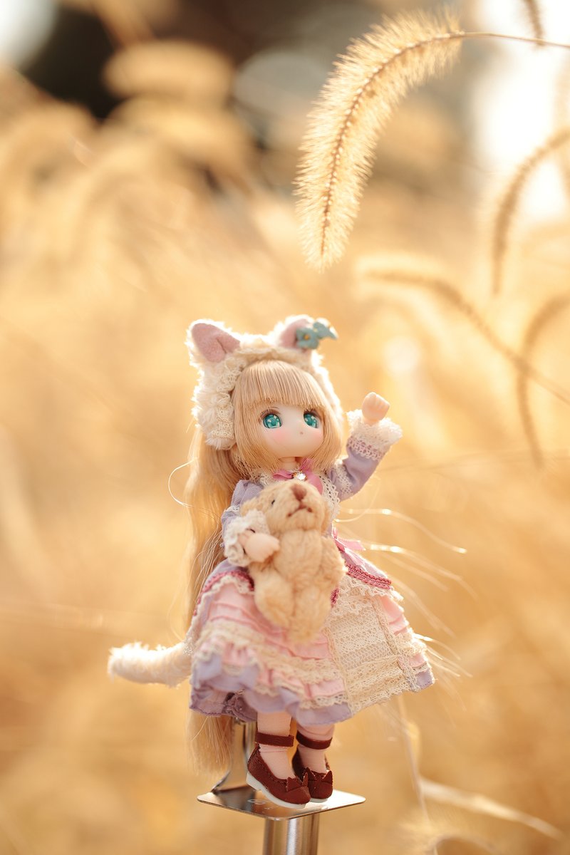 otonasi_DOLL's tweet photo. ねこじゃらし🐱　#シュガーカップス #sugarcups #ショコラーラ https://t.co/lE1CL2oXzU