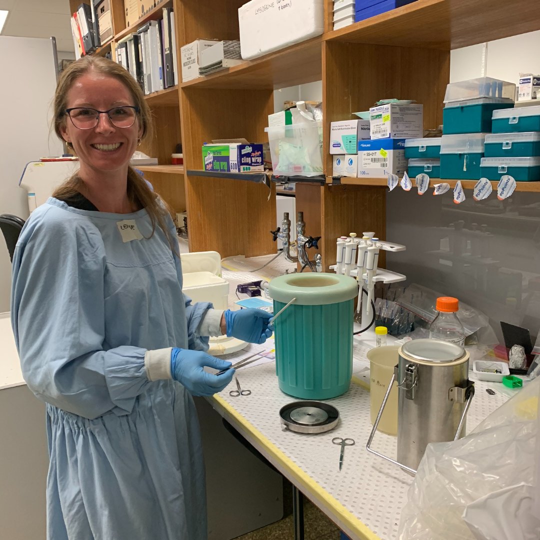 Funded Project Update: Leanne Winner, @SFCFoundtn PhD top-up scholarship recipient at @Flinders @FlindersHmri, has completed her project to discover new, easily accessible #biomarkers for #Sanfilippo. READ MORE:bit.ly/3wmg8of #ChildhoodDementia