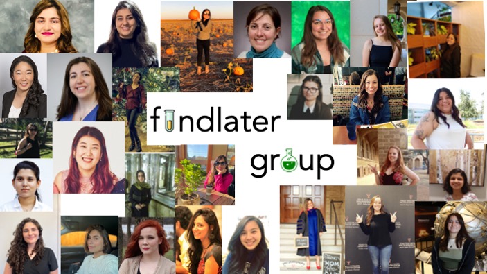 Michael Findlater tweet media