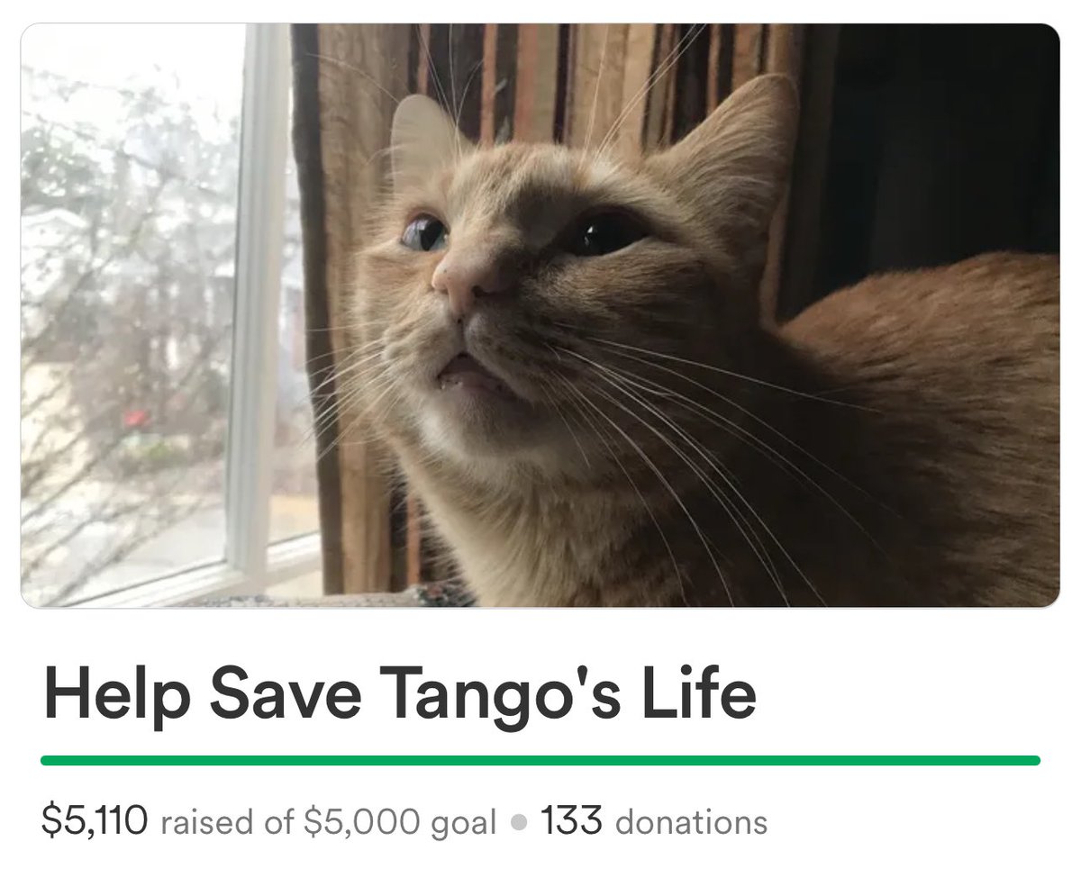 Needlejuice Records tweet media