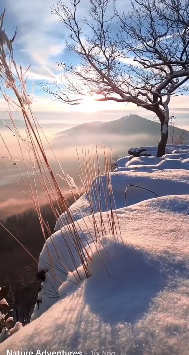 InsatiableVVIP's tweet photo. Good morning friends 
Happy New Week 

🌸💕❄️🌼🗾 https://t.co/p96q9DH8qN
