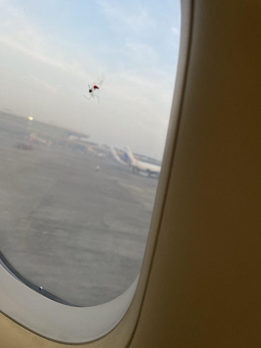 saiko6969's tweet photo. ⁦@airindia⁩ there are so many mosquitoes in the aircraft AI635 to Indore. All are travelling for free, while I’m paying for my flight and praying for my life. https://t.co/EEmQJRIBaw