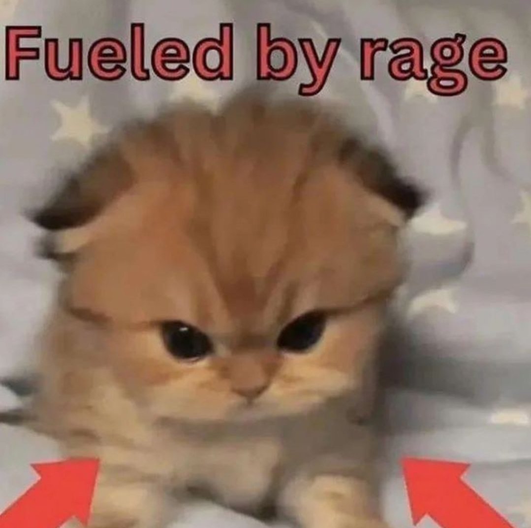 Catsillyness's tweet photo. https://t.co/jWUI12zCiN