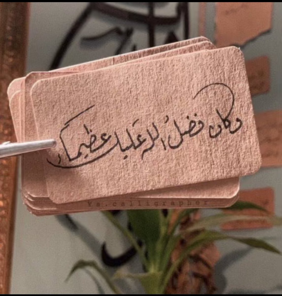 عبق tweet media