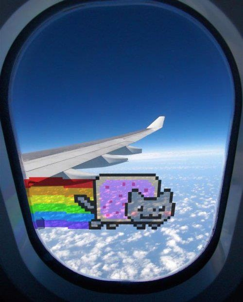 $NYAN (@SolanaNyan) / Posts / X