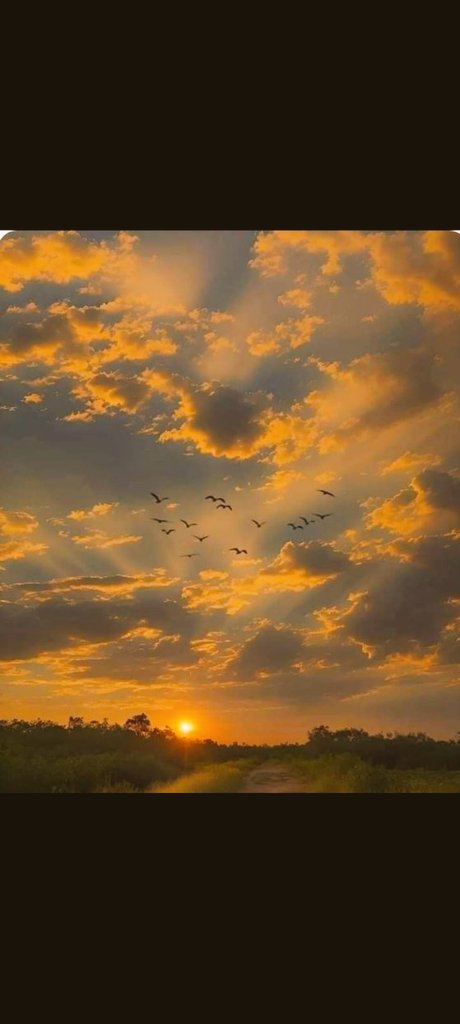 السلام علیکم ✋
کیسے ہیں سب دوست🌼 
good morning .  X family 💐
#Hammad  Noor