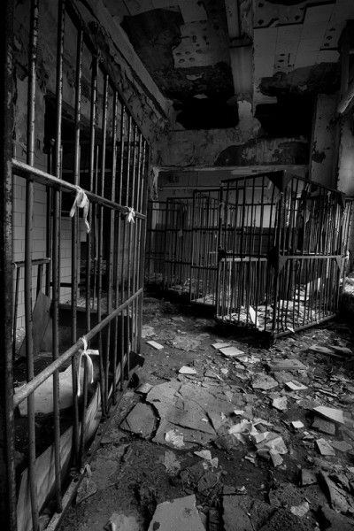 Omega Jungkook should have known that his odd habit of exploring abandoned buildings would get him into trouble one day. 

But he /never/ expected to find an alpha locked deep underground  - hidden away from the world, chained and delirious. 

OT7
