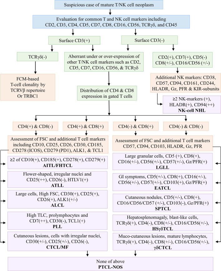 algorithm that simplifies #flowcytometry approach to t cell #lymphomas Credit: @PrashantTembha1 @ananthvikas #MedEd #medx Full text: frontiersin.org/journals/oncol…