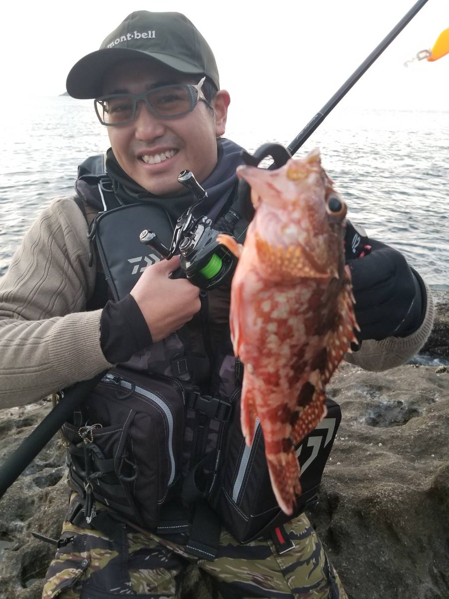shokidelfin's tweet photo. 一投目からアカハタ、カサゴと続き調子良き！取り敢えずアンタレスDCMDロールアウト成功！ https://t.co/HGP5Wjd2wf