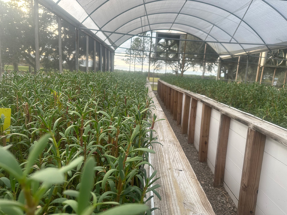 👏@MoteMarineLab has launched a new #Farming education program with @UFSarasotaExt that will prepare participants for a future in sustainable #Agriculture in #Florida🌾🌱. Read more about this 'groundbreaking' initiative in Connect: bit.ly/3STtD7N. #Sustainability