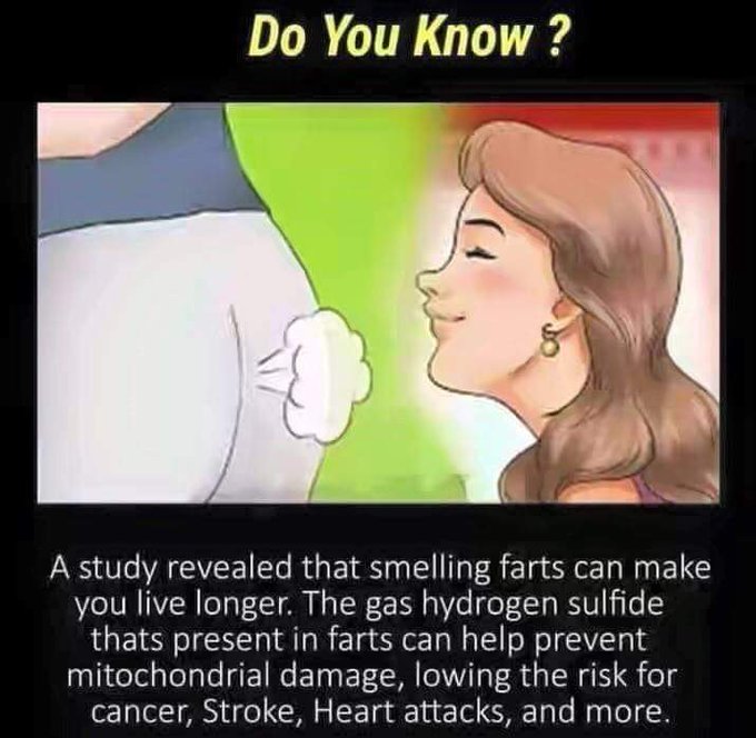 Sniff farts for your health ❤️ https://t.co/A1RV98NwPm<a href="/tag/femdom"class="tags"><span>#femdom</span></a><a href="/tag/domination"class="tags"><span>#domination</span></a><a href="/tag/hypnosis"class="tags"><span>#hypnosis</span></a>