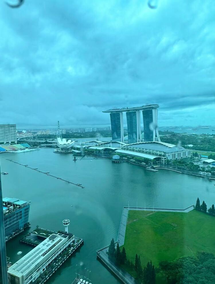 When I'm tired from work, looking outside always makes me feel better.