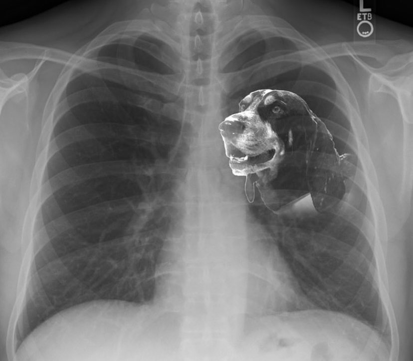 Jauan Jennings Got That Dawg In Him