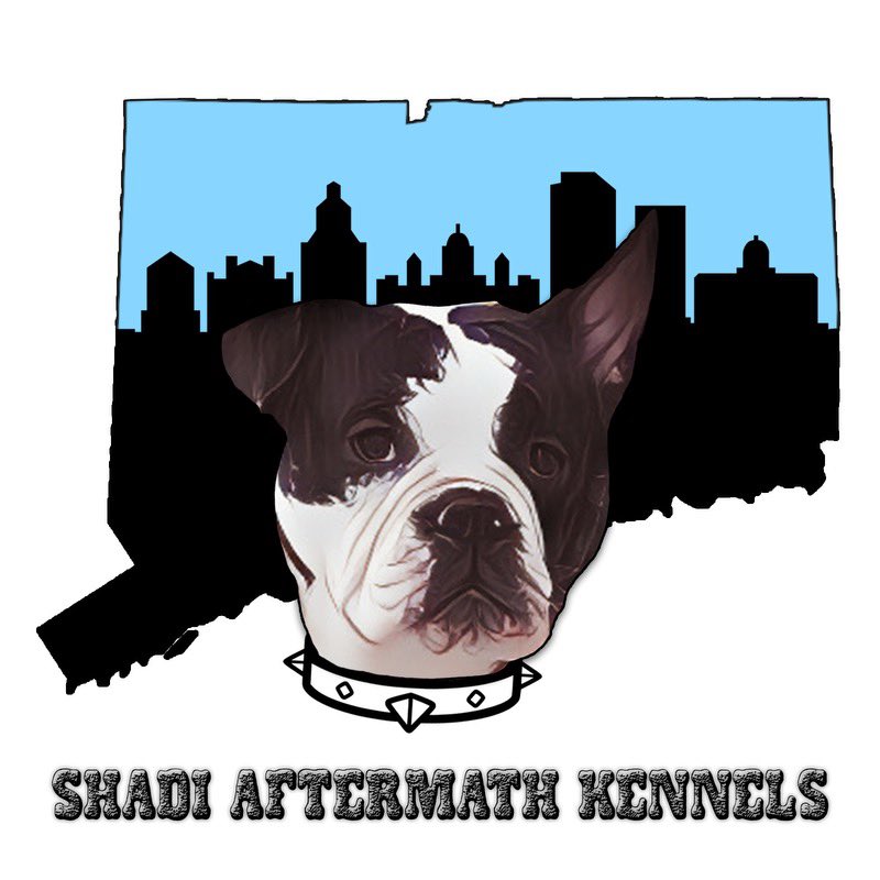 deedlezdoodlez's tweet photo. Shadi Aftermath Kennels

•

•

#dogs #doglife #drawing #artist #art #graphicdesign #cartoon #digitalart #deedlezdoodlez https://t.co/LfnEynGC5g