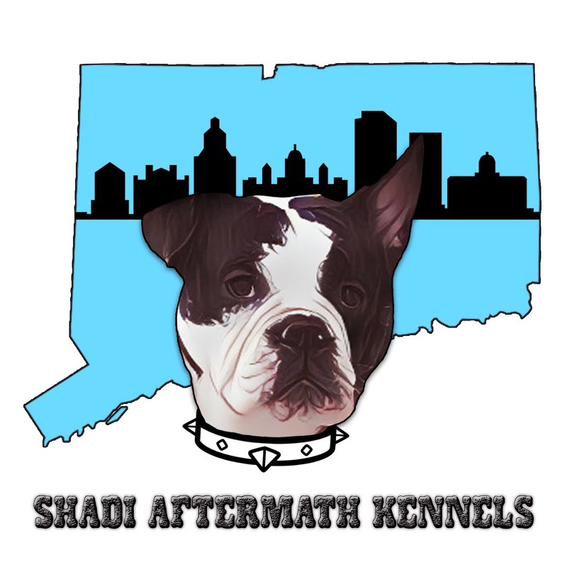 deedlezdoodlez's tweet photo. Shadi Aftermath Kennels

•

•

#dogs #doglife #drawing #artist #art #graphicdesign #cartoon #digitalart #deedlezdoodlez https://t.co/LfnEynGC5g