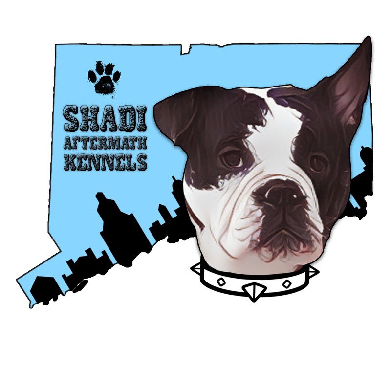 deedlezdoodlez's tweet photo. Shadi Aftermath Kennels

•

•

#dogs #doglife #drawing #artist #art #graphicdesign #cartoon #digitalart #deedlezdoodlez https://t.co/LfnEynGC5g