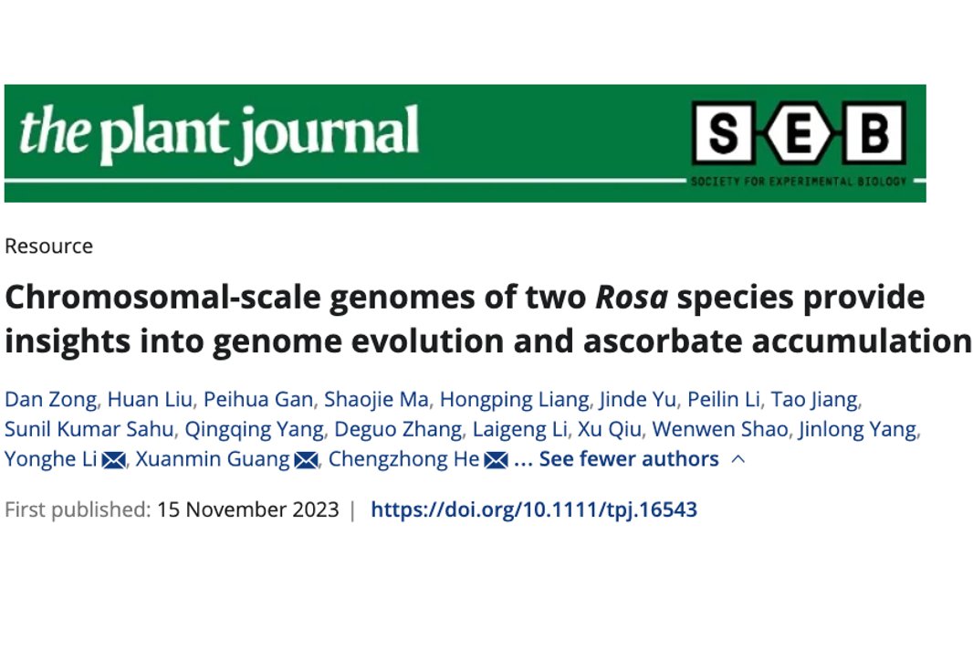 BGI Group tweet media